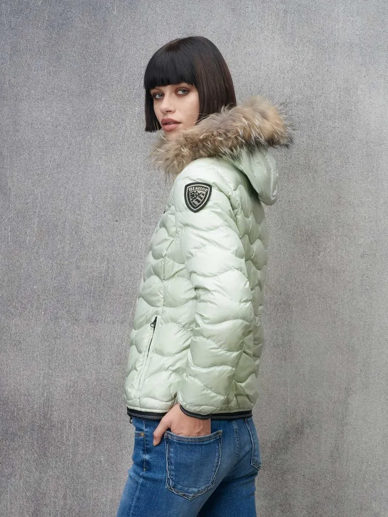    BLAUER 24WBLDC03048    