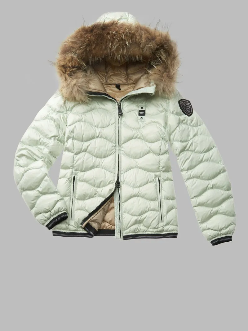     BLAUER 24WBLDC03048    