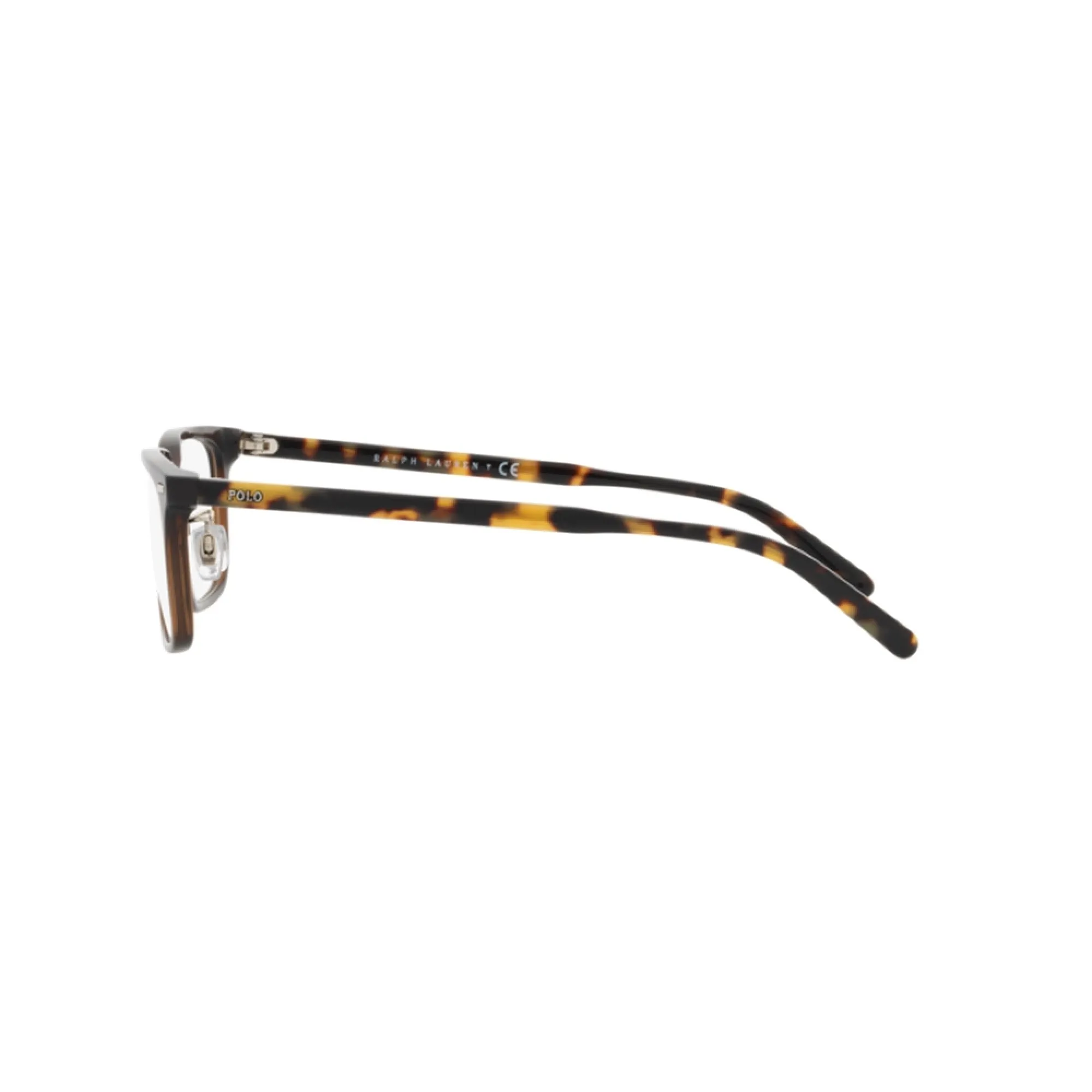   Polo PH 2248D - 5883 Shiny Transp Brown | Occhiale Da Vista Uomo 