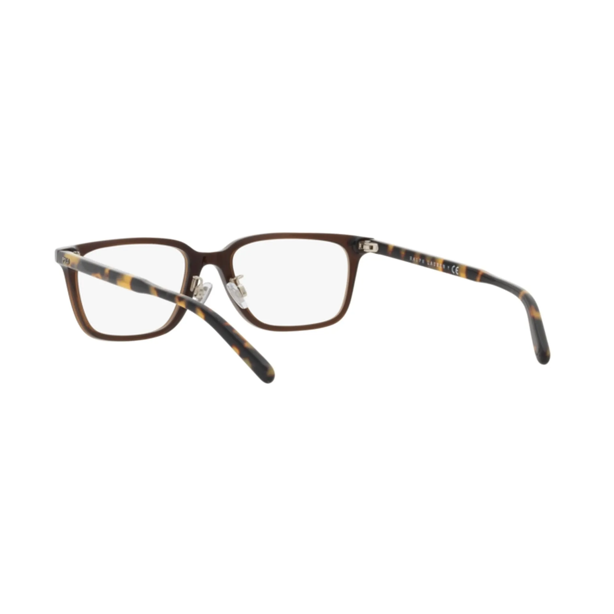   Polo PH 2248D - 5883 Shiny Transp Brown | Occhiale Da Vista Uomo 